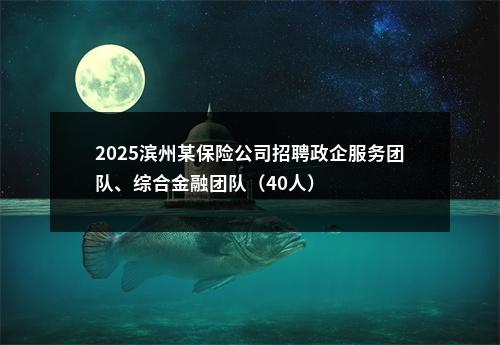 2025滨州某保险公司招聘政企服务团队、综合金融团队（40人） 图片