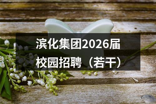 滨化集团2026届校园招聘（若干） 图片