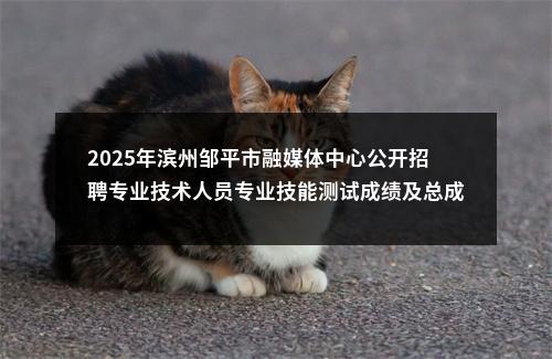 2025年滨州邹平市融媒体中心公开招聘专业技术人员专业技能测试成绩及总成绩公告 图片