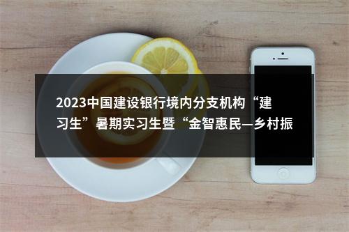 2023中国建设银行境内分支机构“建习生”暑期实习生暨“金智惠民—乡村振兴”万名学子暑期下乡实践队员招聘公告 图片