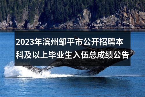 2023年滨州邹平市公开招聘本科及以上毕业生入伍总成绩公告 图片