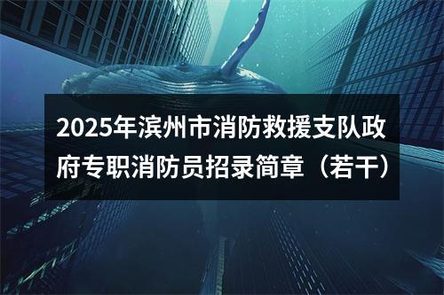2025年滨州市消防救援支队政府专职消防员招录简章（若干） 图片