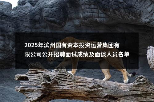 2025年滨州国有资本投资运营集团有限公司公开招聘面试成绩及面谈人员名单 图片