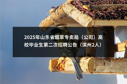2025年山东省烟草专卖局（公司）高校毕业生第二次招聘公告（滨州2人） 图片