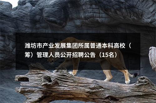 潍坊市产业发展集团所属普通本科高校（筹）管理人员公开招聘公告（15名） 图片