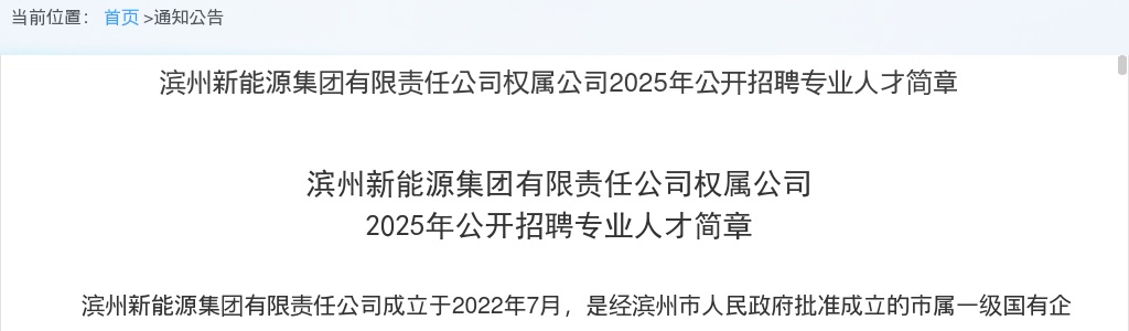 2025年滨州新能源集团有限责任公司权属公司公开招聘专业人才简章（20人） 图片